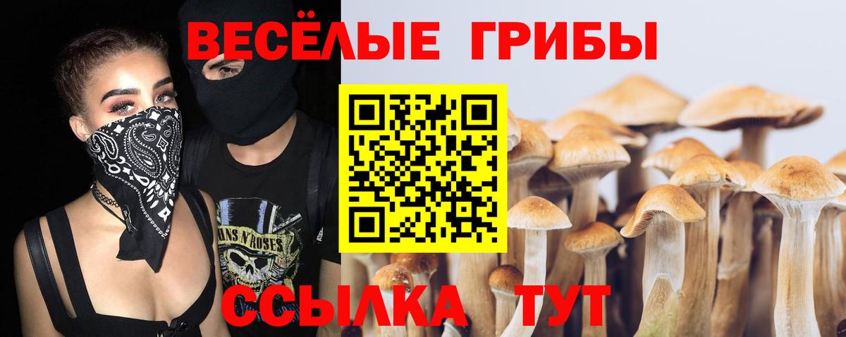 Кулебаки  Галлюциногенные грибы мухоморы  Вход с VPN 
